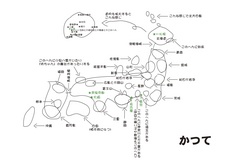 脳内地図.jpg