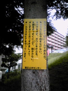 Image1524.jpg